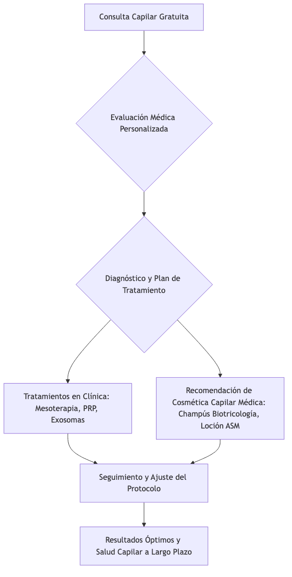Flowchart of the consultation and hair treatment process at Santé Clínica Estética.
