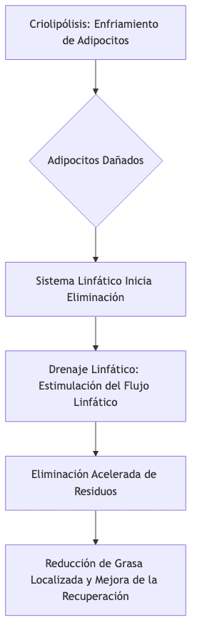 Flujo de eliminación de grasa tras criolipólisis y drenaje linfático