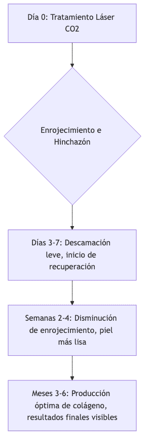 Cronología de recuperación del láser CO2 periocular