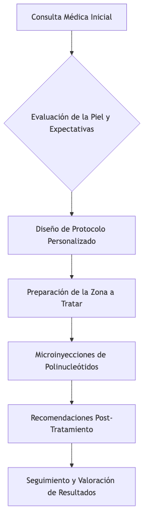Flujo del procedimiento de polinucleótidos en Santé Clínica Estética, desde la consulta inicial hasta el seguimiento post-tratamiento.