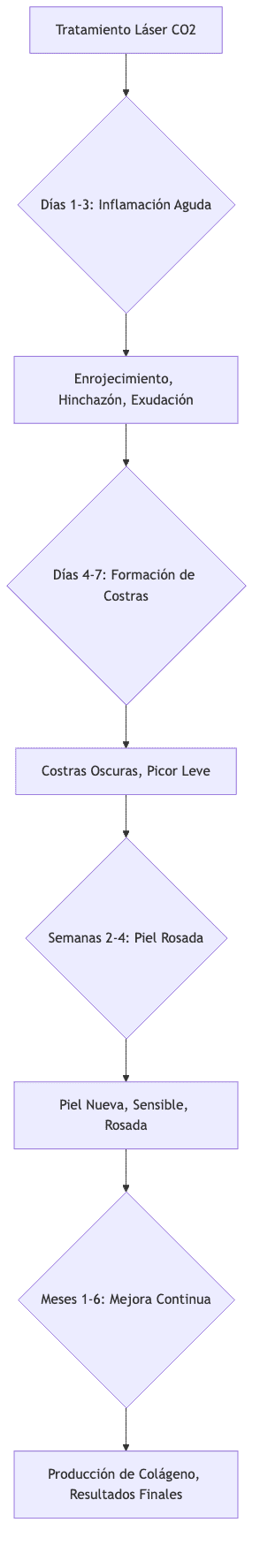 Diagrama de flujo de la recuperación del láser CO2 fraccionado